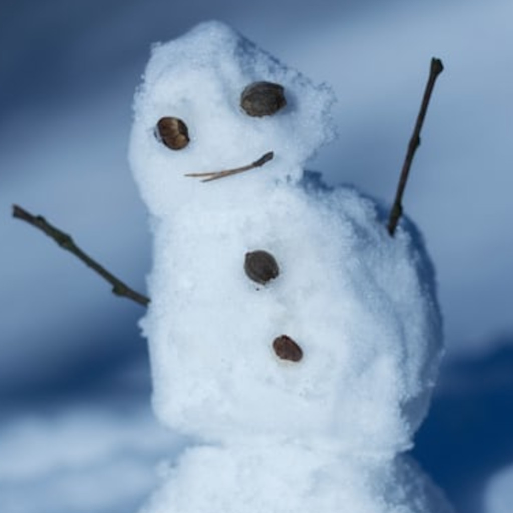 23-snowman-1074306607